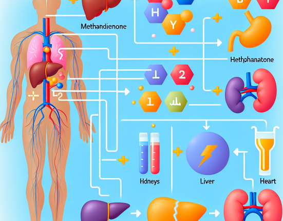 Effet de la méthandiénone sur l'équilibre électrolytique dans l'organisme