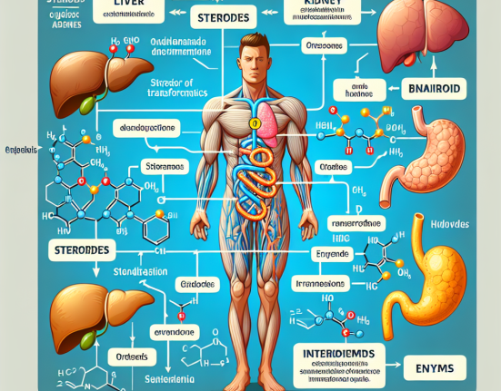 Cours de stéroïdes en fonction du métabolisme