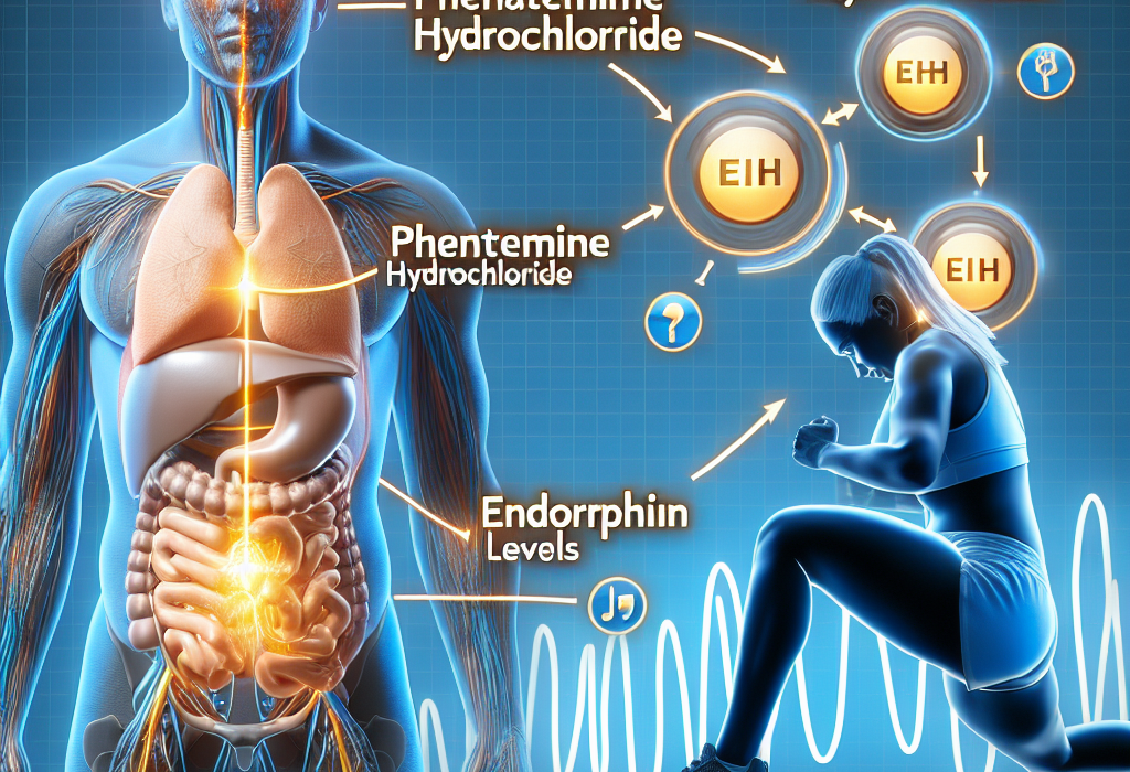 L'effet du chlorhydrate de phentermine sur les niveaux d'endorphines après l'entraînement