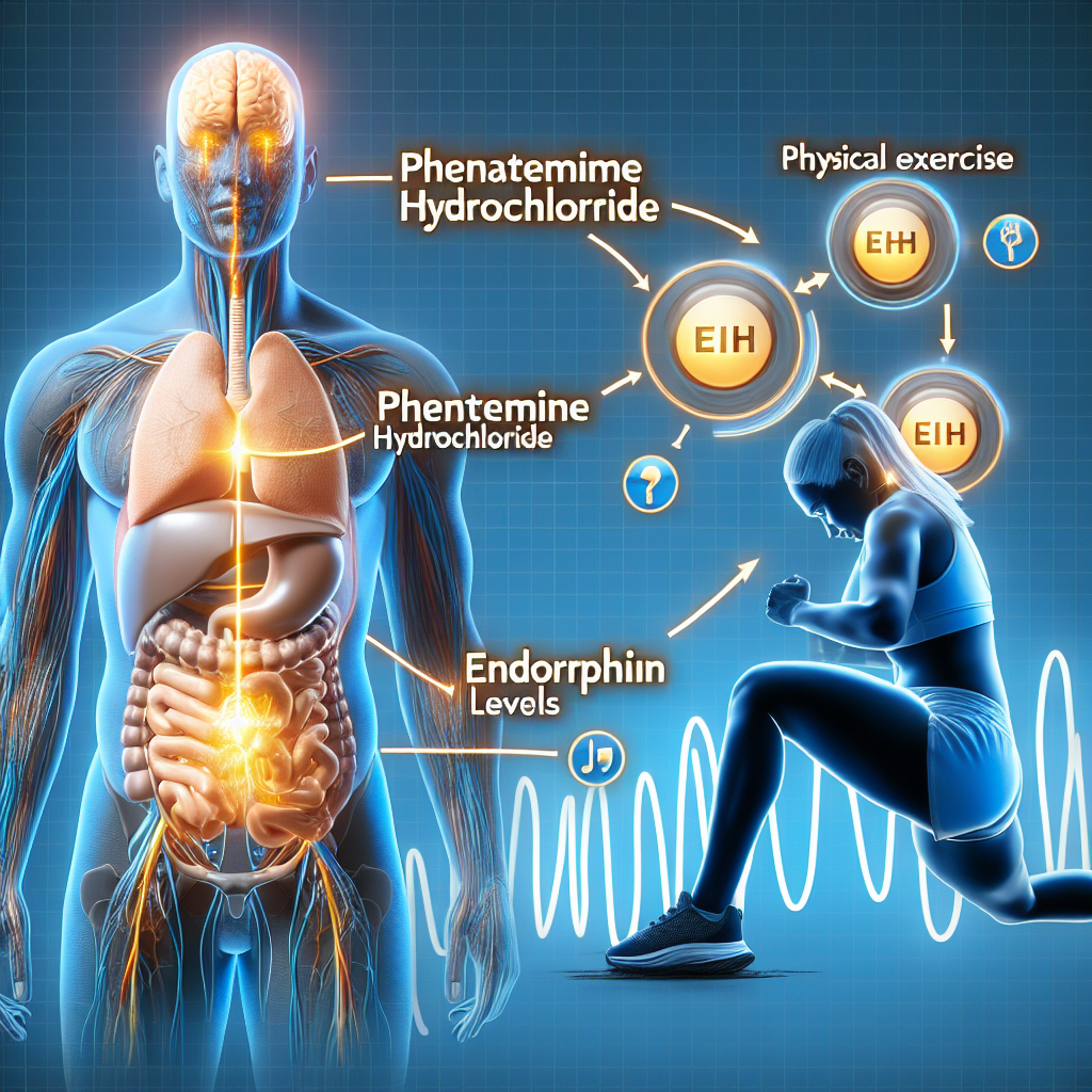 L'effet du chlorhydrate de phentermine sur les niveaux d'endorphines après l'entraînement